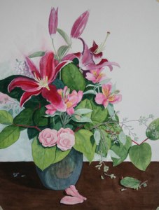 Stargazers-&-Friends